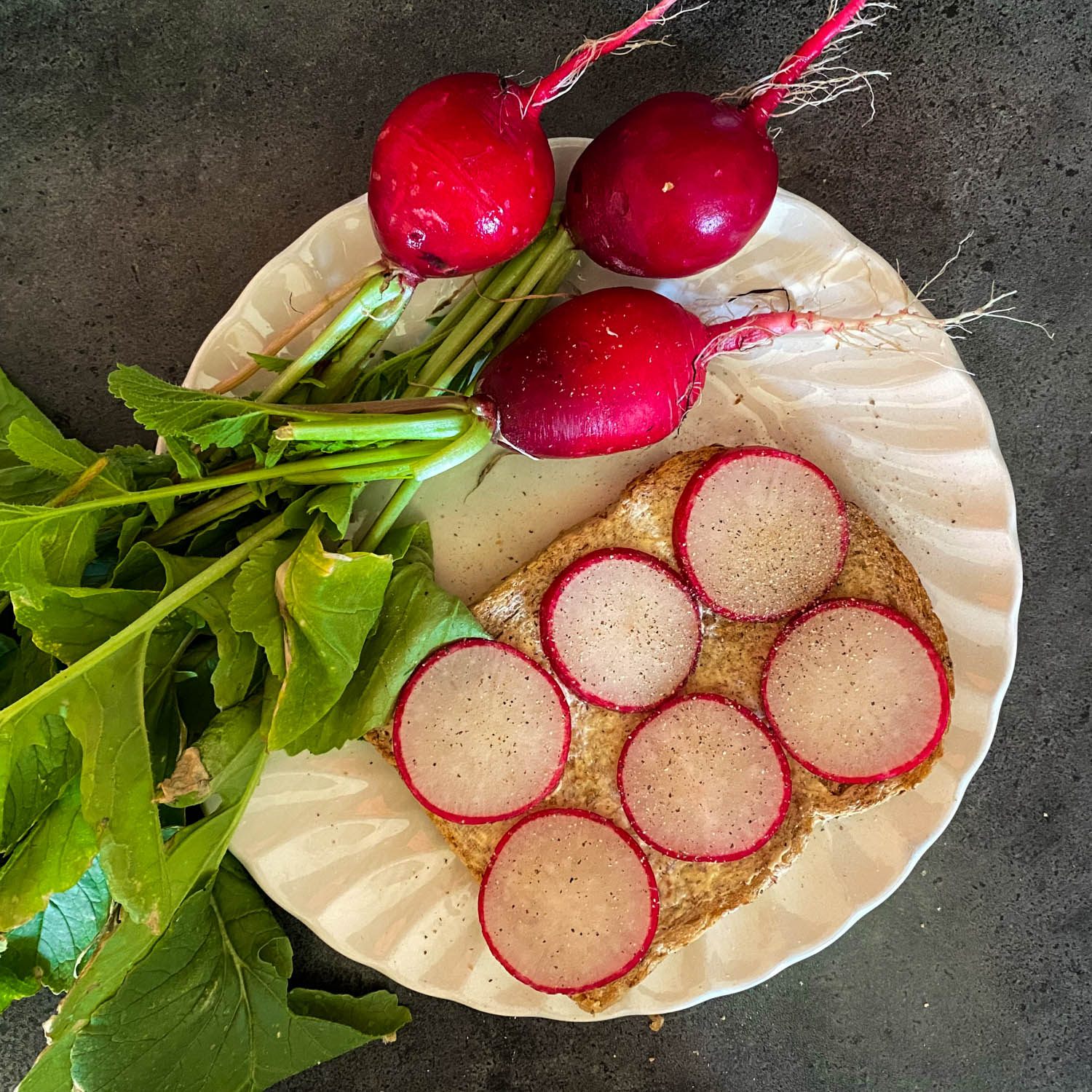 Giant Radish