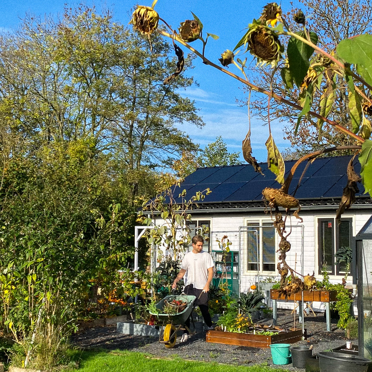 De Makkelijke Moestuin alvast een beetje klaarmaken voor de winter