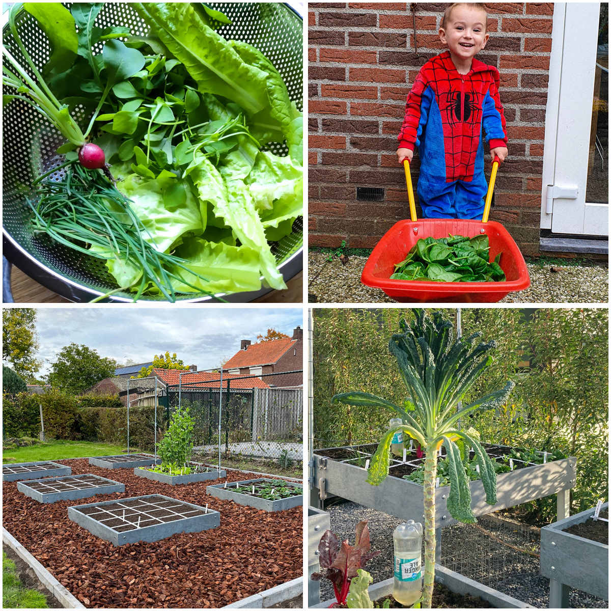 Recente posts op de community van de Makkelijke Moestuin