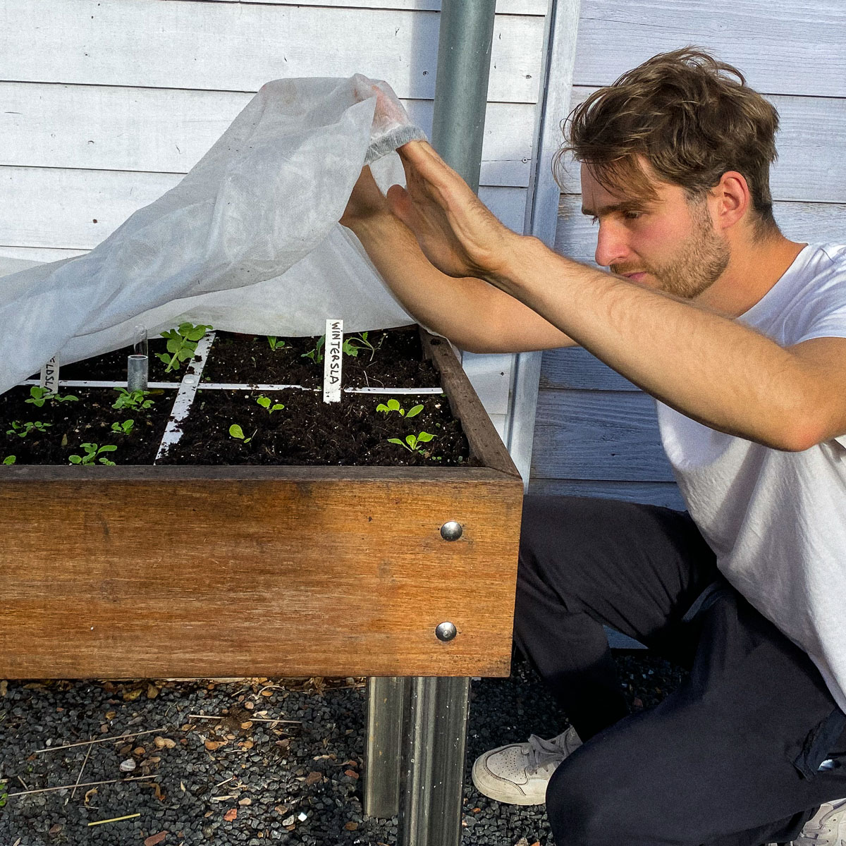 Piepkleine plantjes, alvast goed beschermd door de Makkelijke Moestuinmuts