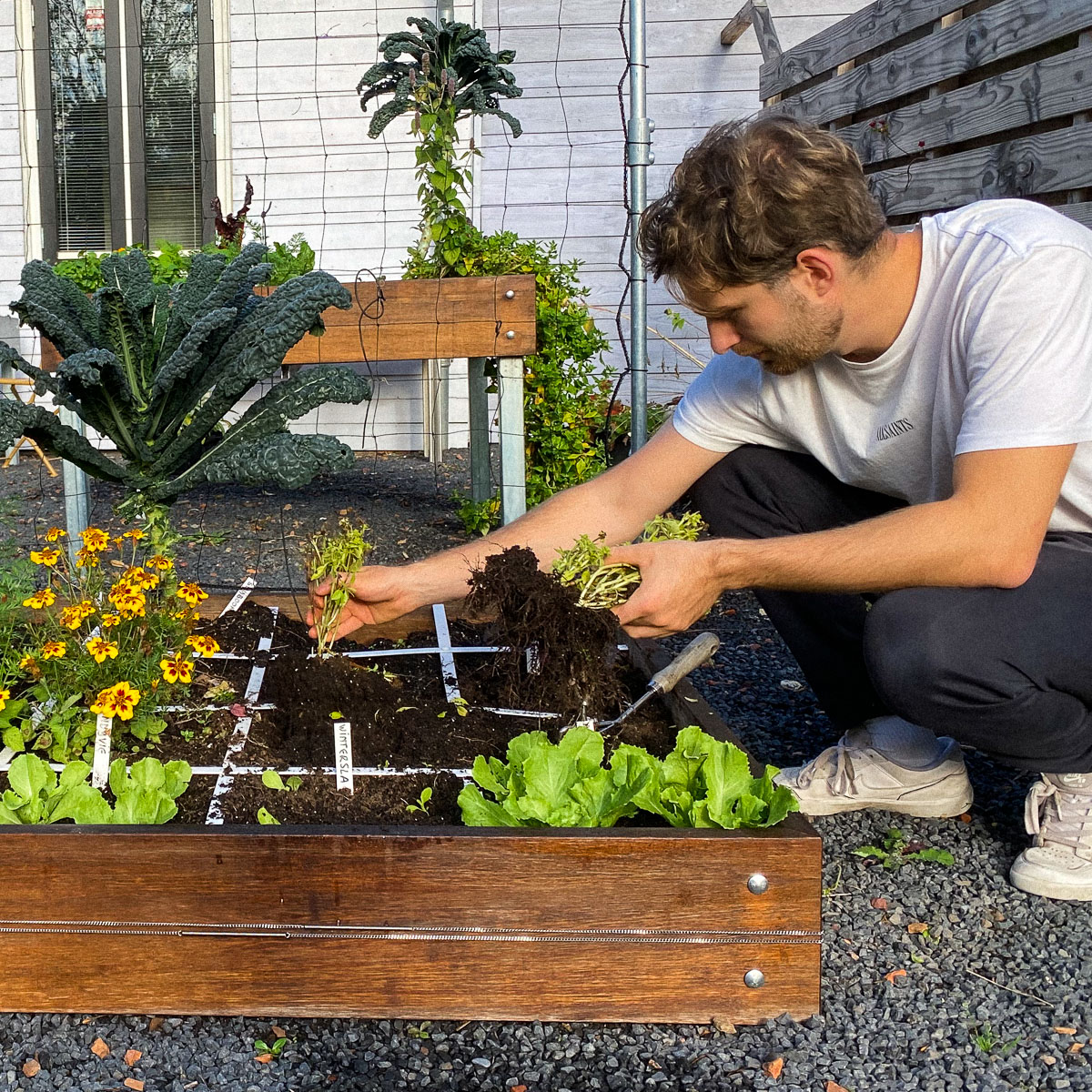Moestuinbak klaarmaken voor de winter