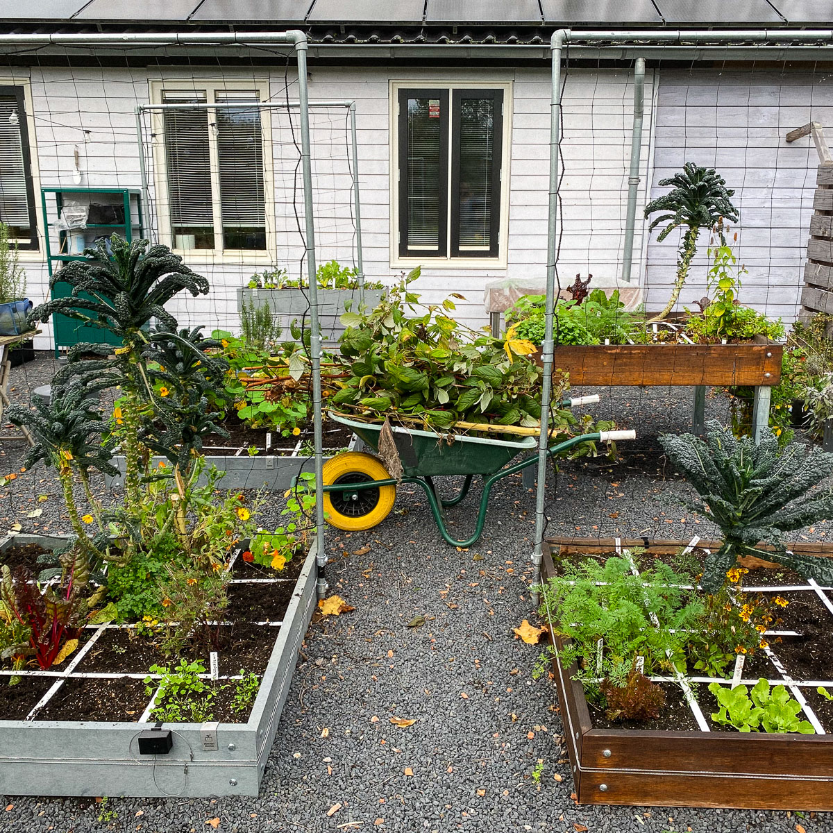 Makkelijke Moestuinbakken: klaar voor de winter