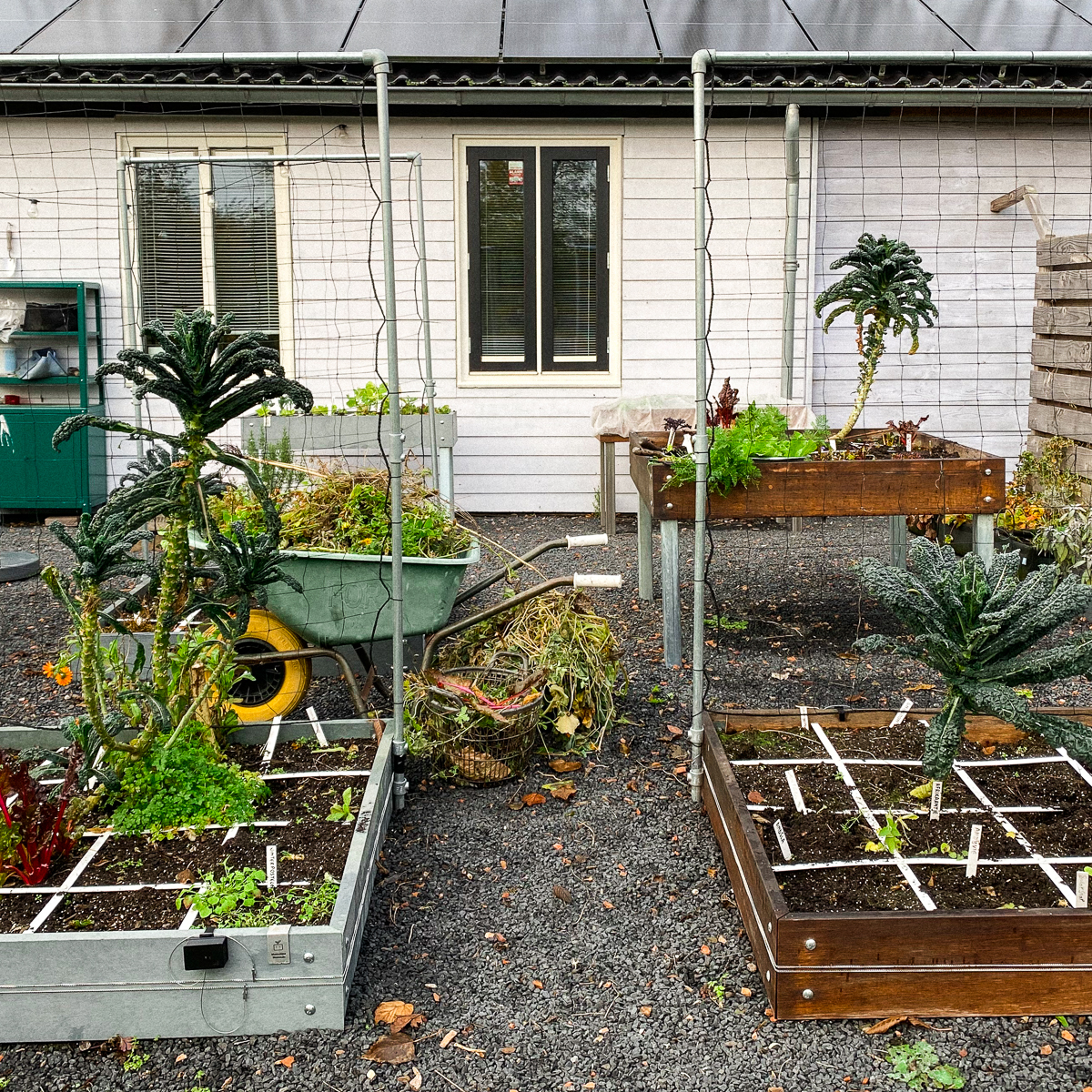 De kantoortuin eind november
