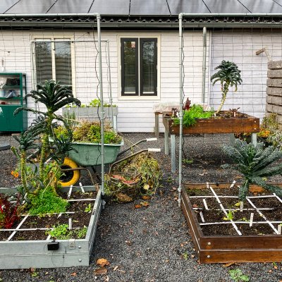 December: the end of the growing season