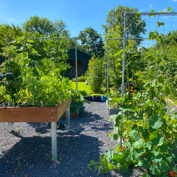 Elke Makkelijke Moestuin maakt de wereld een beetje groener