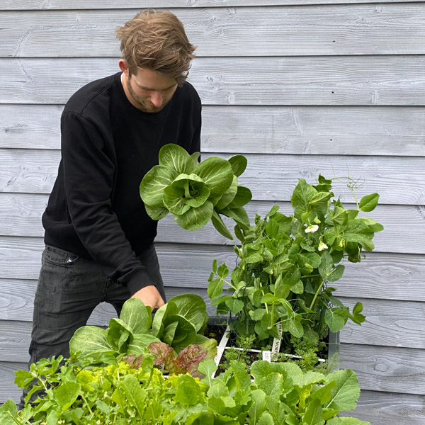 Zelf-geteelde groentes uit de Makkelijke Moestuin: daar doen we het voor