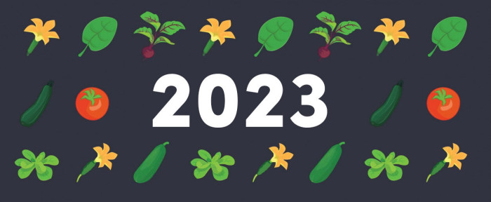 To a brand new year: 🥂  2022