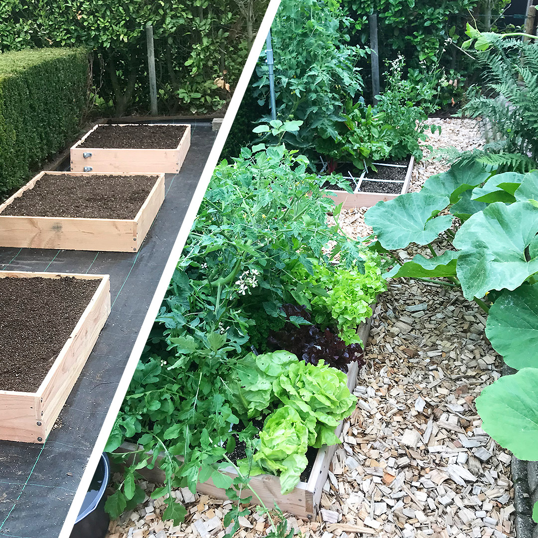 In 2 maanden tijd van lege naar volle Makkelijke Moestuinbakken