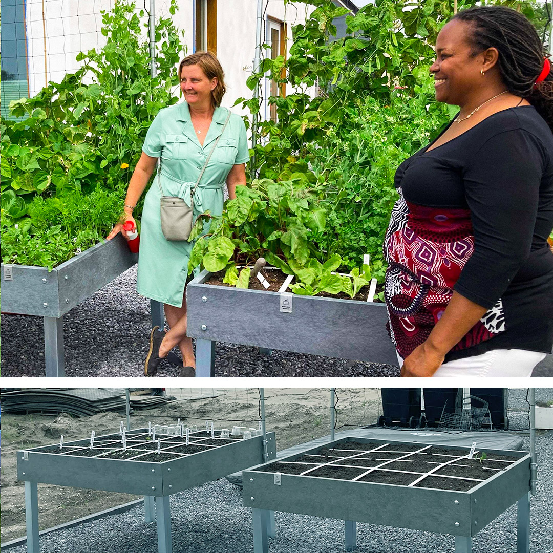 de Makkelijke Moestuin Hero tafelbakken van Shahaira