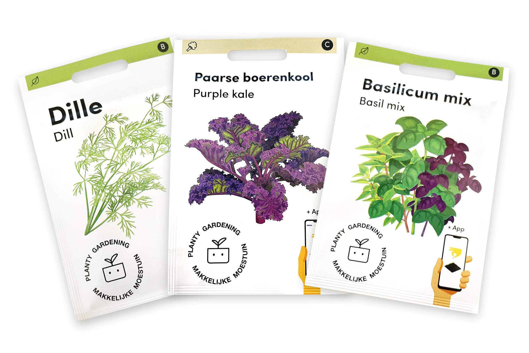Dille, Paarse boerenkool en Basilicum mix van de Makkelijke Moestuin