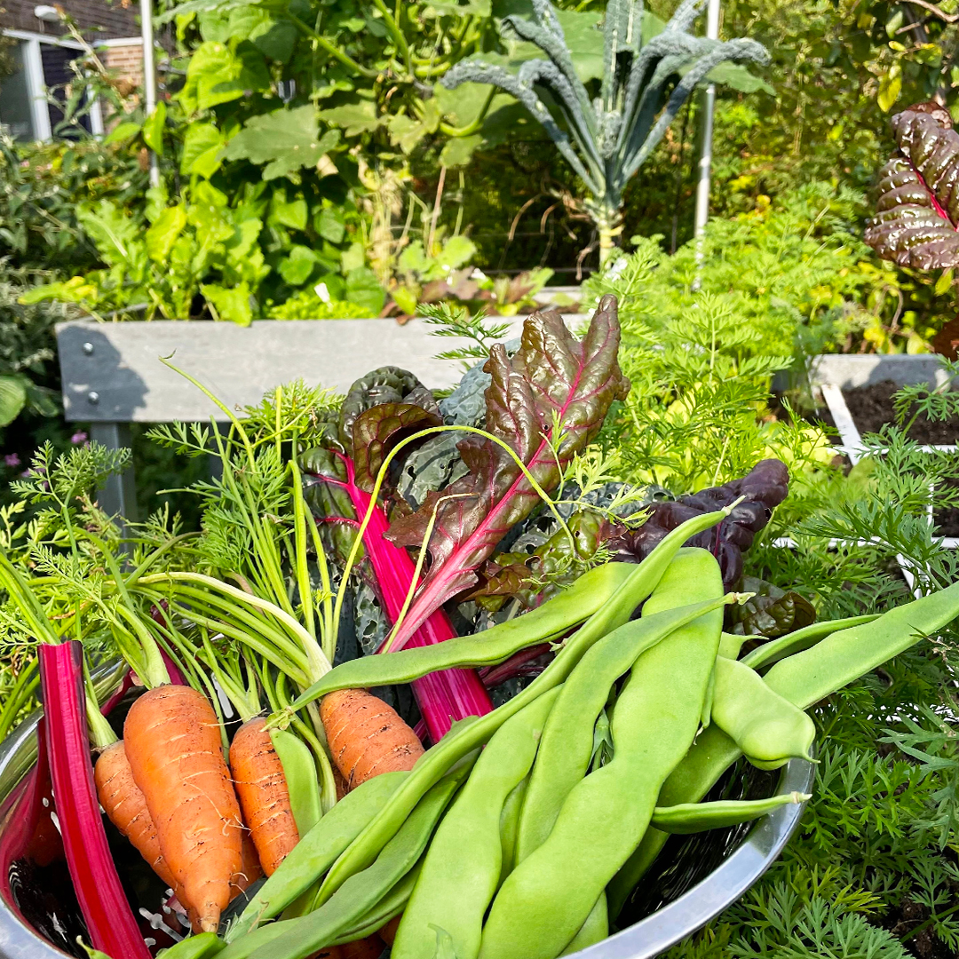 In een Makkelijke Moestuin ga je voor een grote oogst