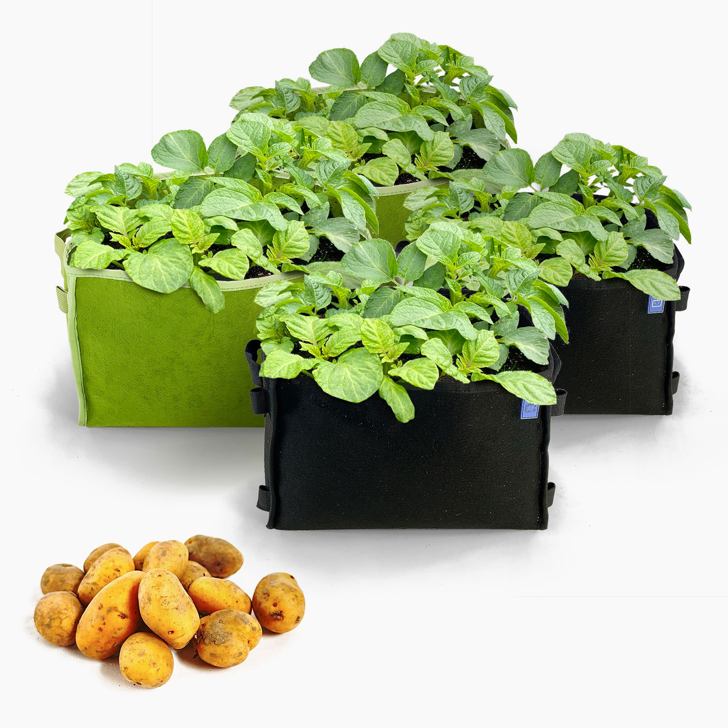 Aardappelpakket met 4x MM-mini's