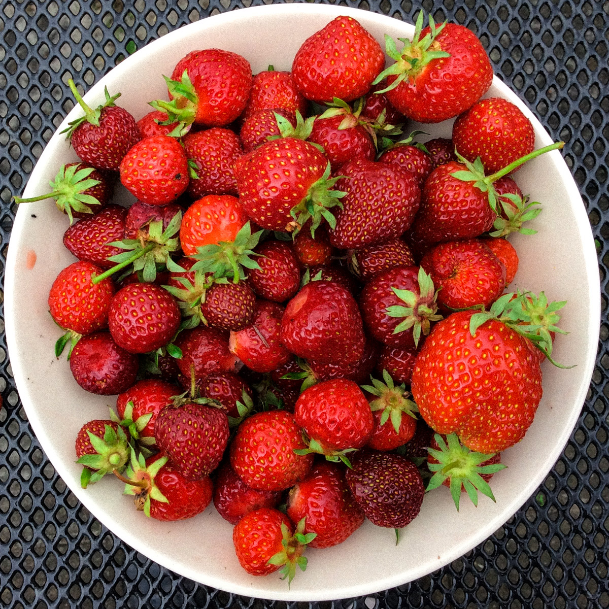 Aardbeien uit mijn Makkelijke Moestuin