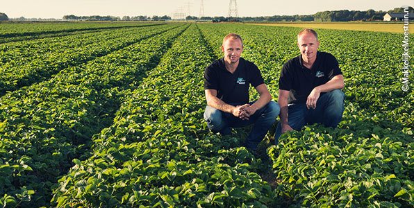 Joep en Joost van aardbeiplantje.nl