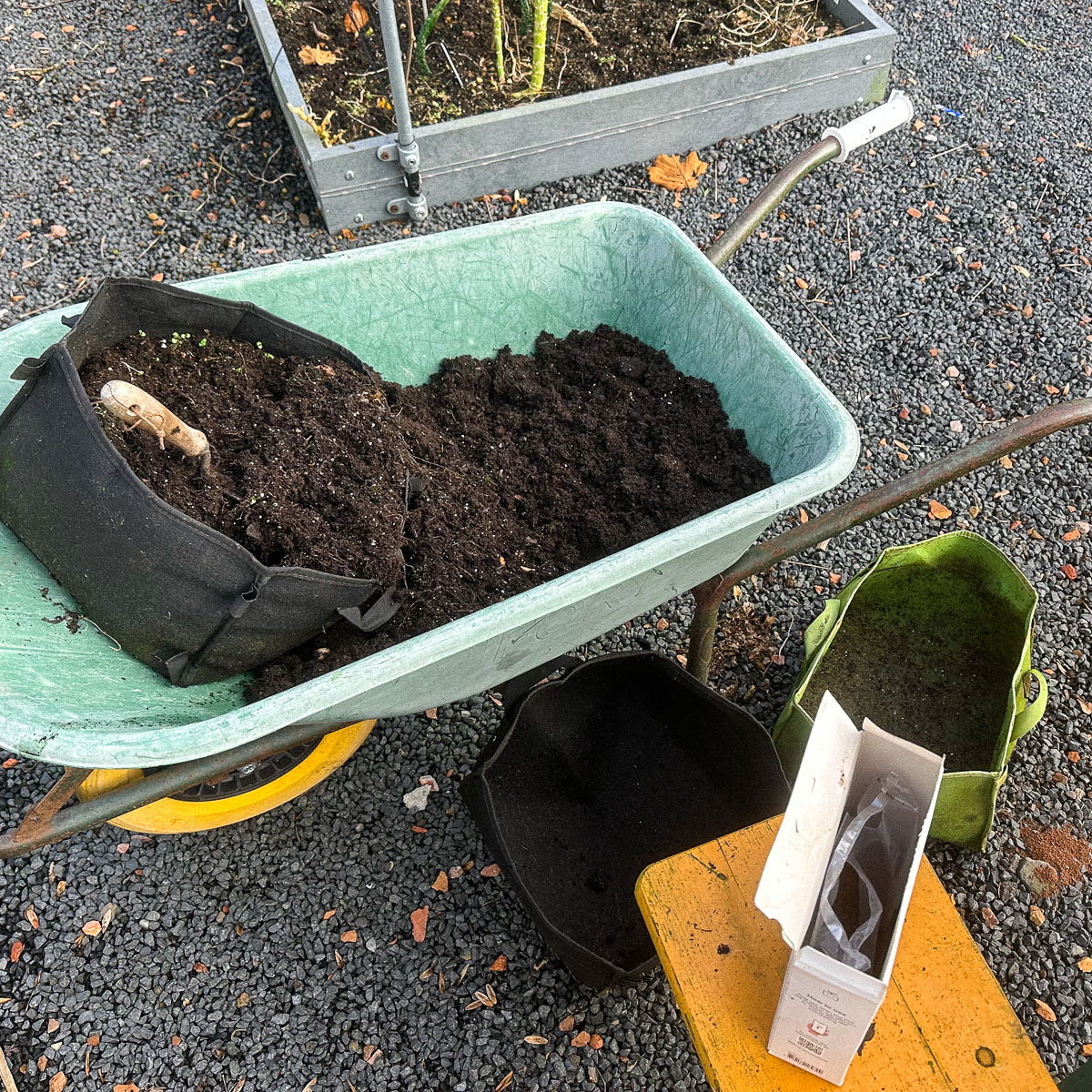 Mix uit de Makkelijke Moestuin-mini's maak je makkelijk schoon in de kruiwagen