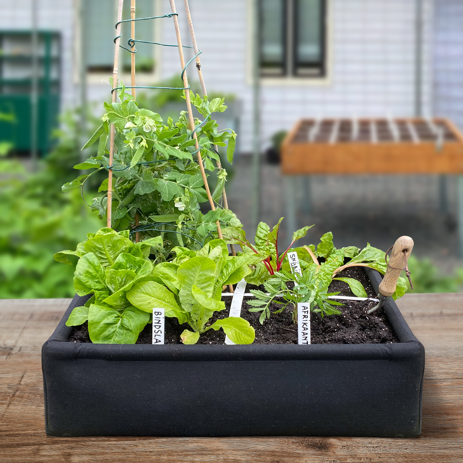 MM-airbak, met op de achtergrond een Makkelijke Moestuin bamboo tafelbak