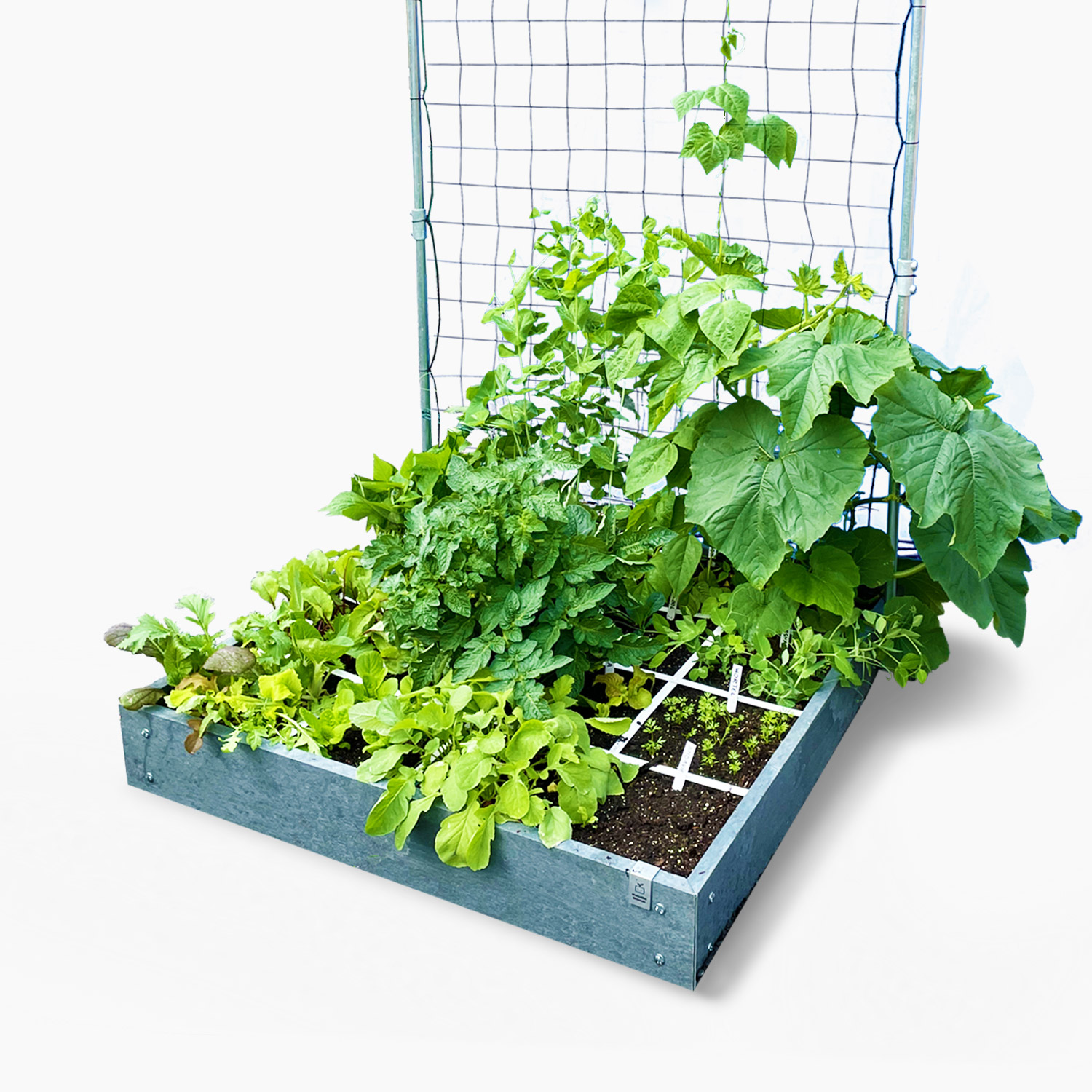 Makkelijke Moestuin-hero moestuinbak met klimrek