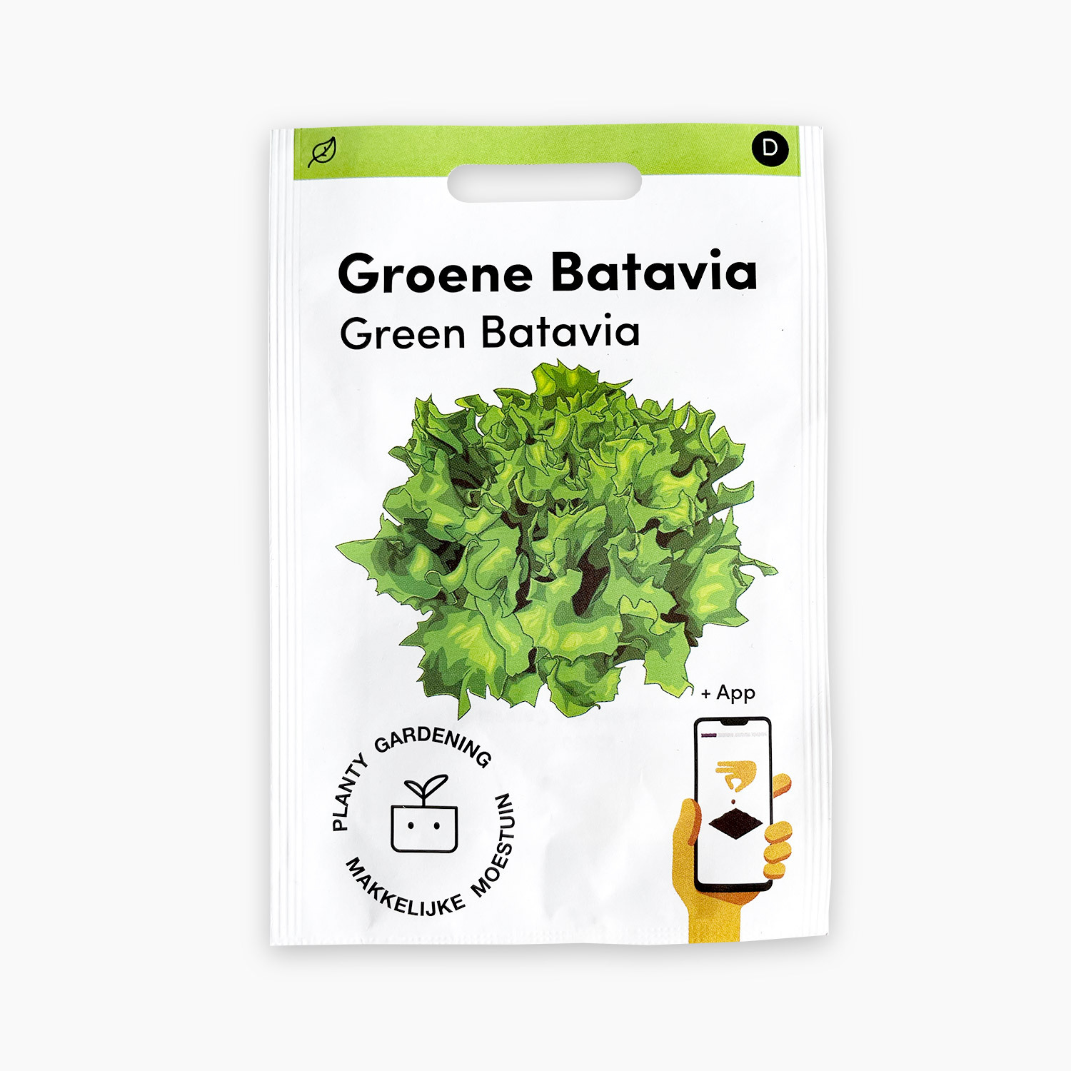 Green Batavia lettuce Pro