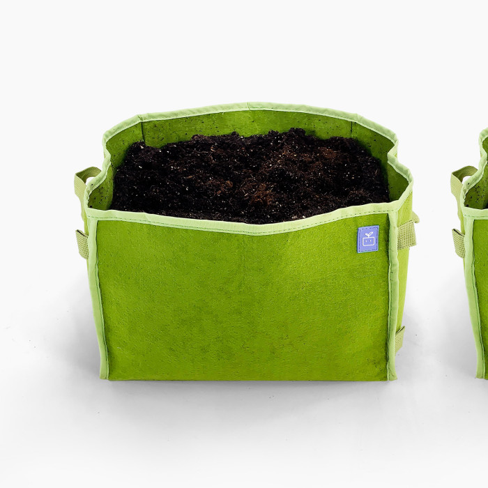 Aardbeienpakket met 2x MM-mini groen