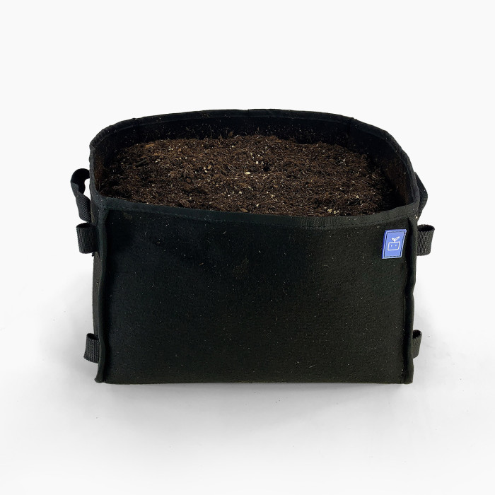 Aardbeienpakket met groene en zwarte MM-mini