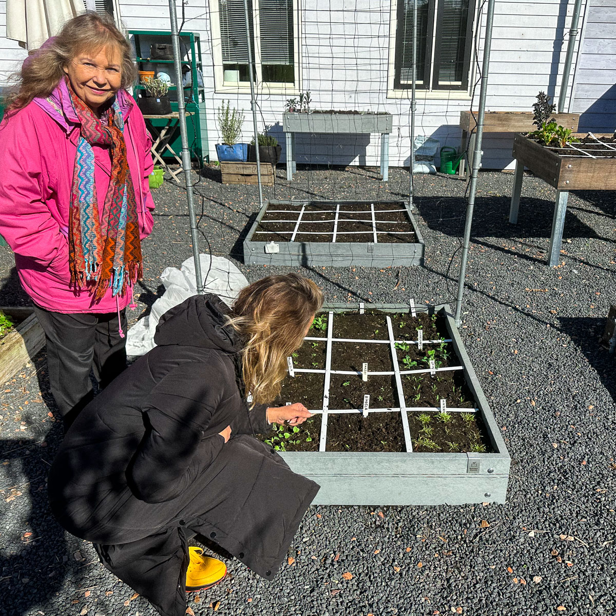 2 april: genieten van piepkleine plantjes