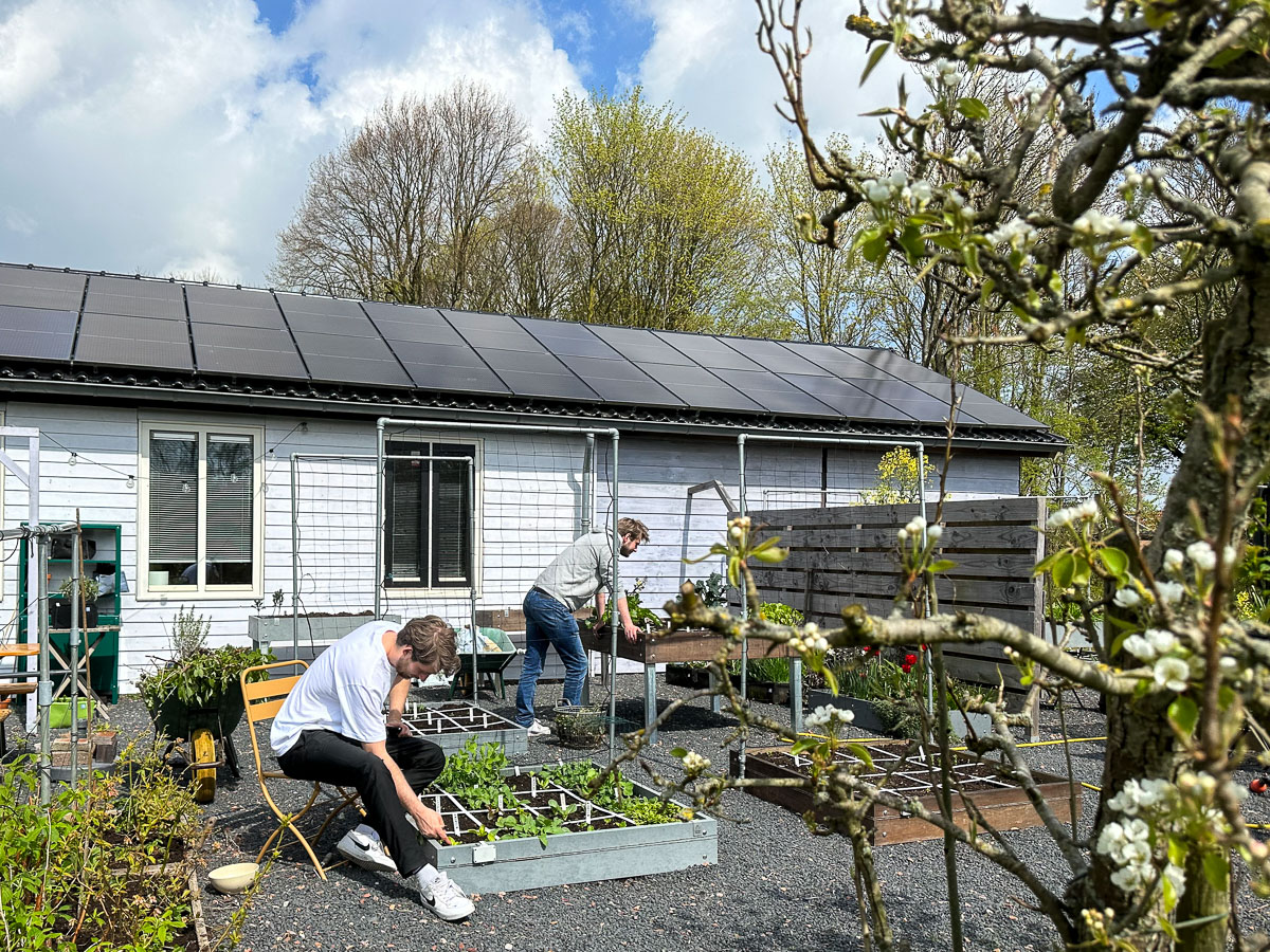 23 april: langzaam wordt alles weer groen