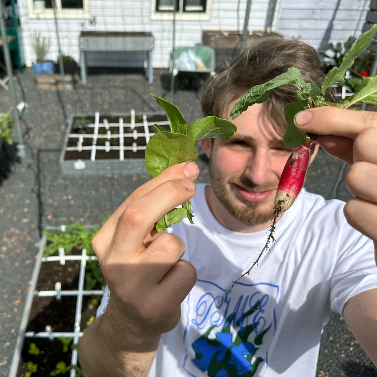 De eerste oogst van de op 1 maart gezaaide plantjes