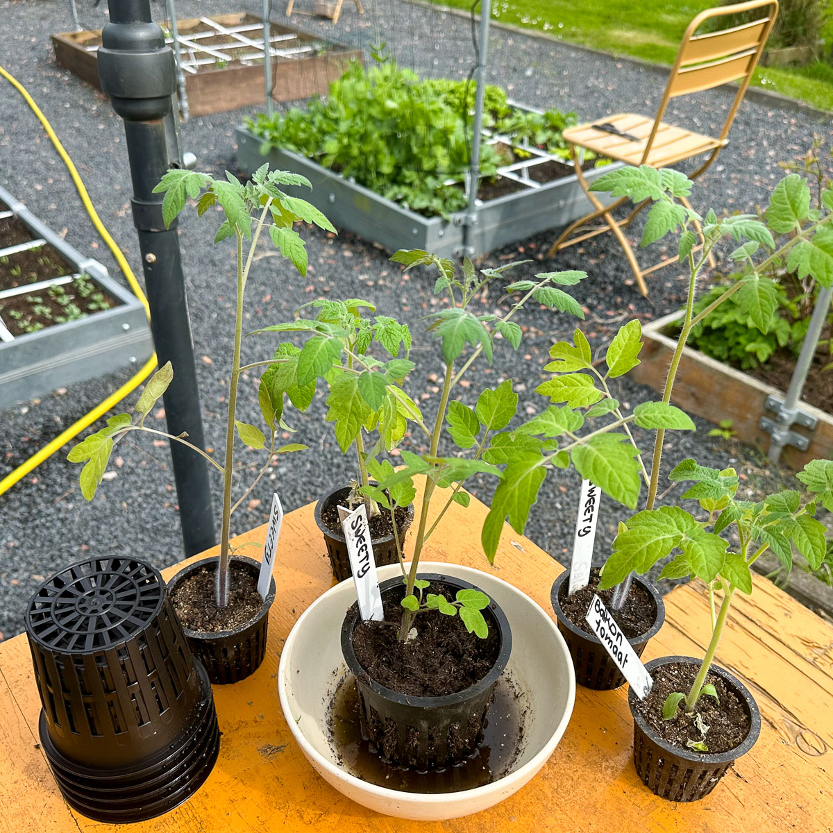 Airpots