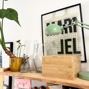 MM seed storage box