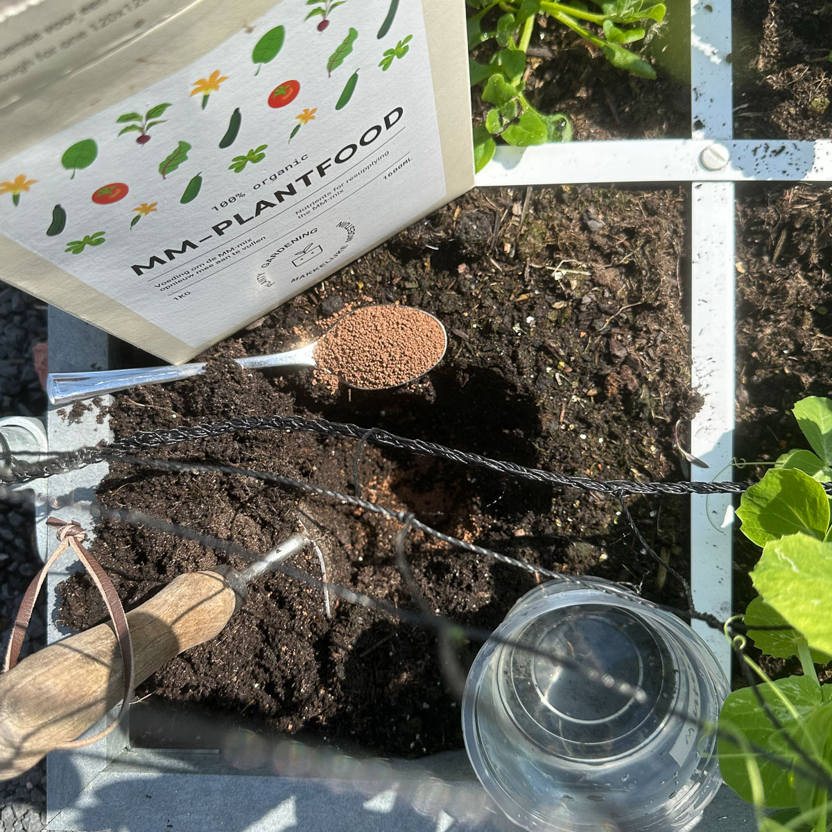 Deep planting hole prepared in MM-Mix