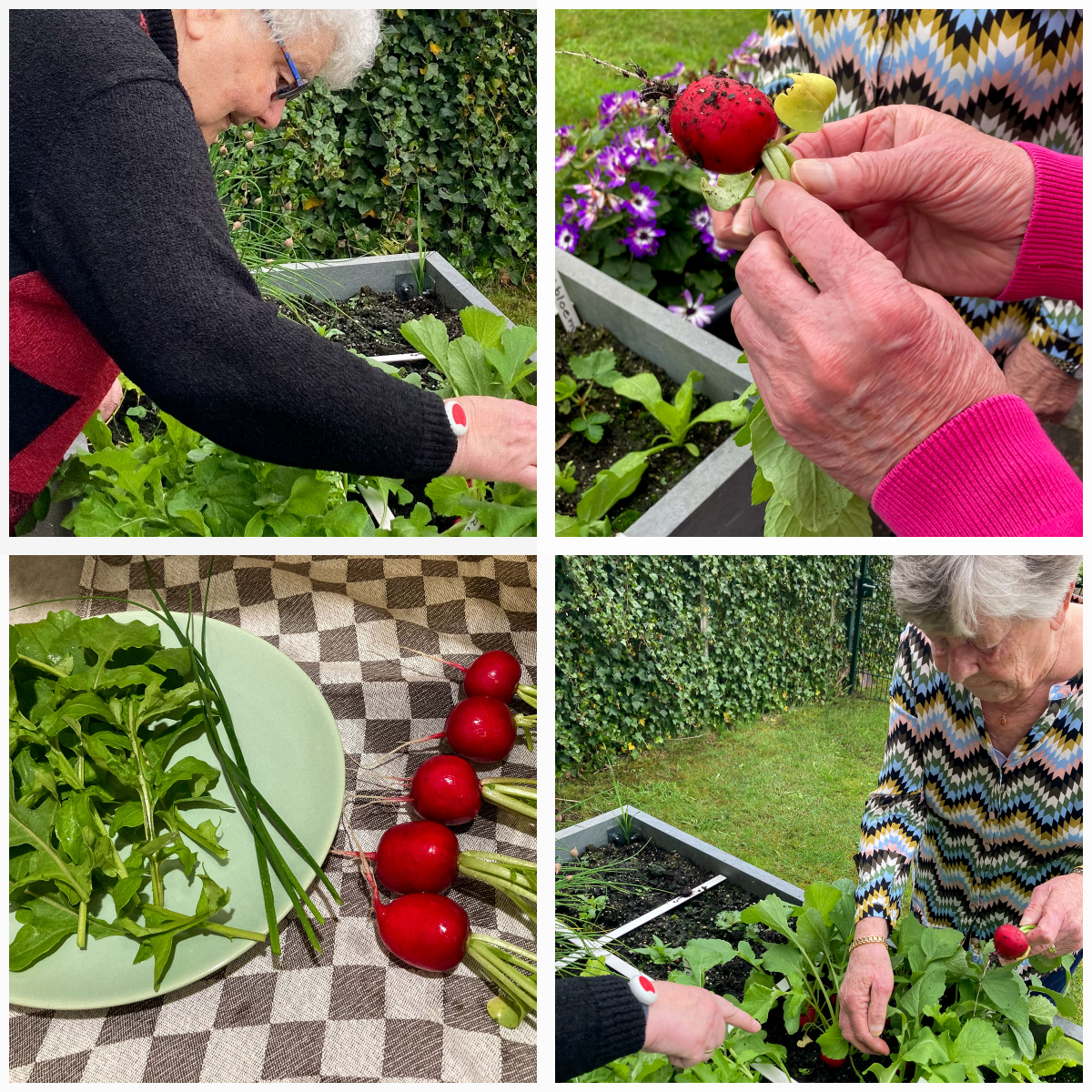 Makkelijke Moestuin-hero tafelbak bij een dagbesteding van ouderen