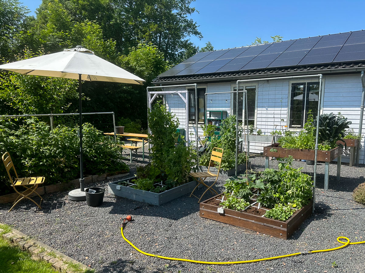 Heet en droog in de moestuin