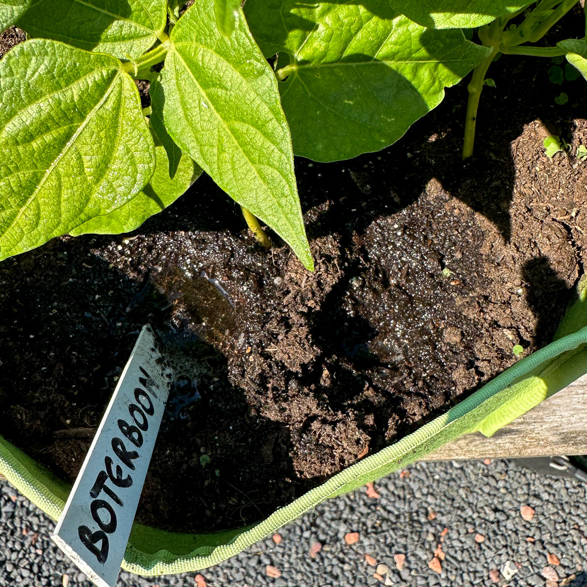 Gebruik de naamlabels om de Makkelijke Moestuinmix goed los te maken