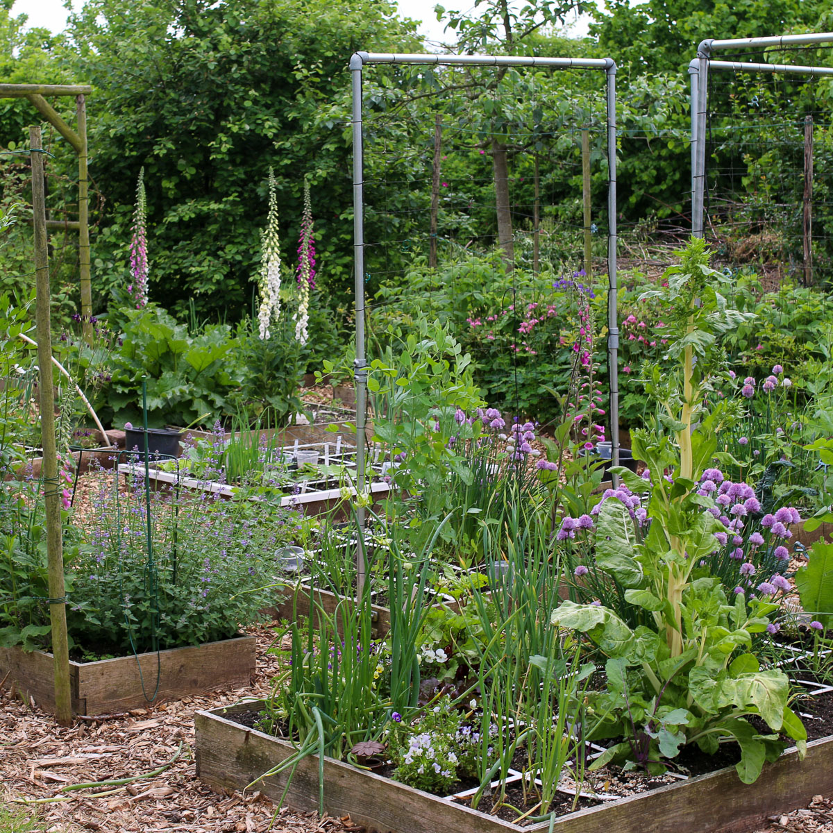 Makkelijke Moestuin raised beds in the orchard