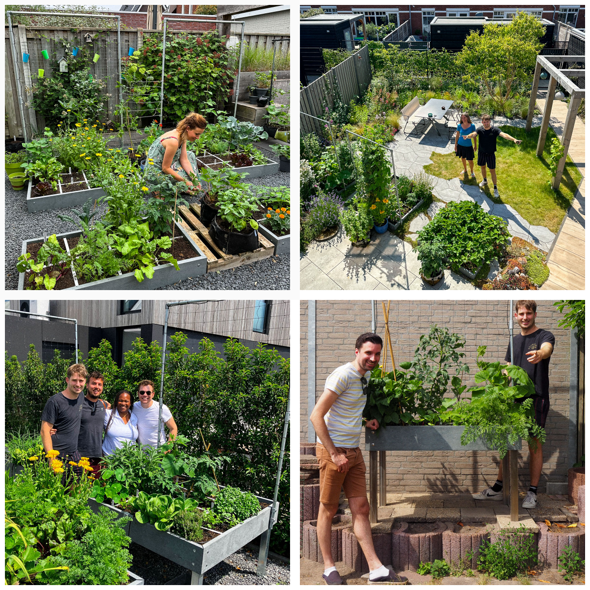 Makkelijke Moestuinen bij MM-ers thuis