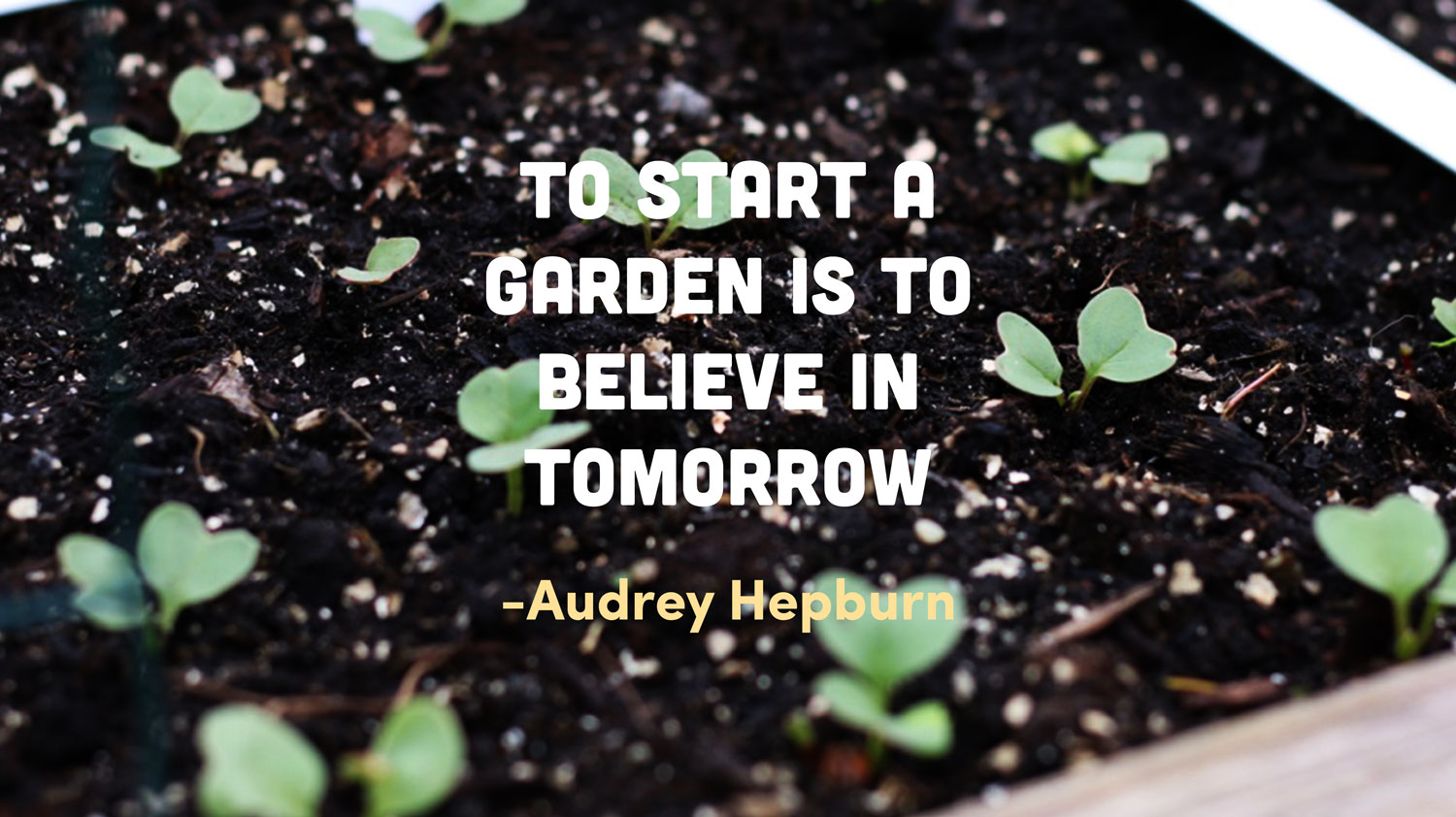 To plant a garden is to believe in tomorrow