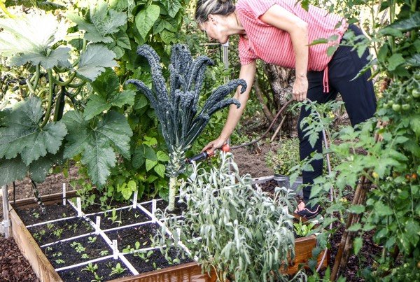 De tuin in voor wat ontspanning