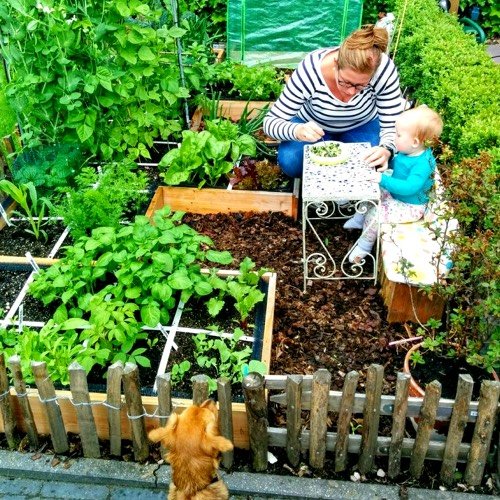 Irma's moestuin naast het terras