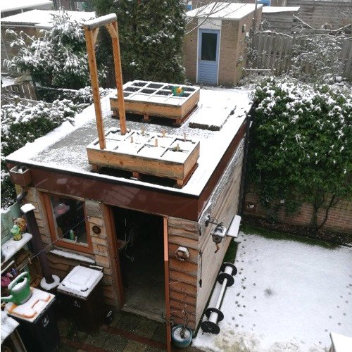 Makkelijke Moestuinbakken op het dak van een schuurtje