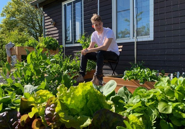 Waarom wil jij een moestuin? Redenen om te beginnen