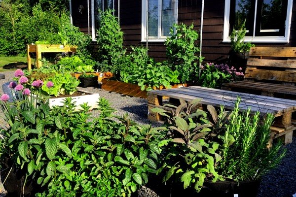 Makkelijke Moestuin met herbruikbare materialen