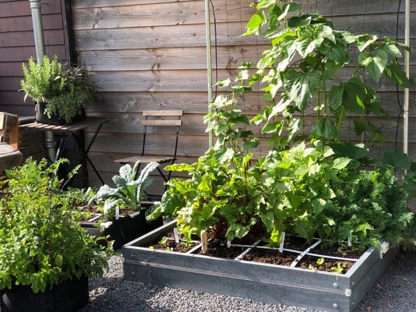 Moestuinbakken van gerecycled plastic