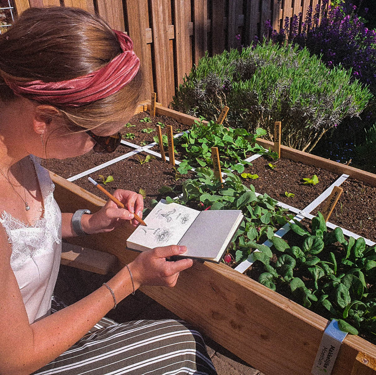 Tekenen en genieten van je Makkelijke Moestuin gaat prima samen