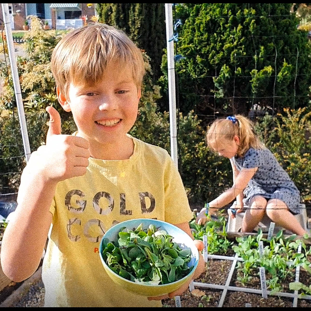 De Makkelijke Moestuin tegen verveling in de Corana tijd