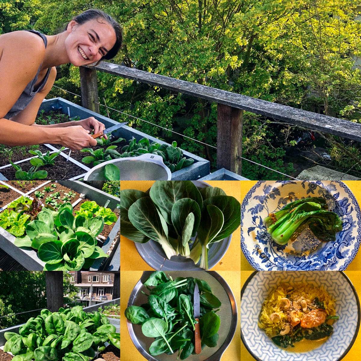 Biologisch fast-food: van Makkelijke Moestuin zo op tafel