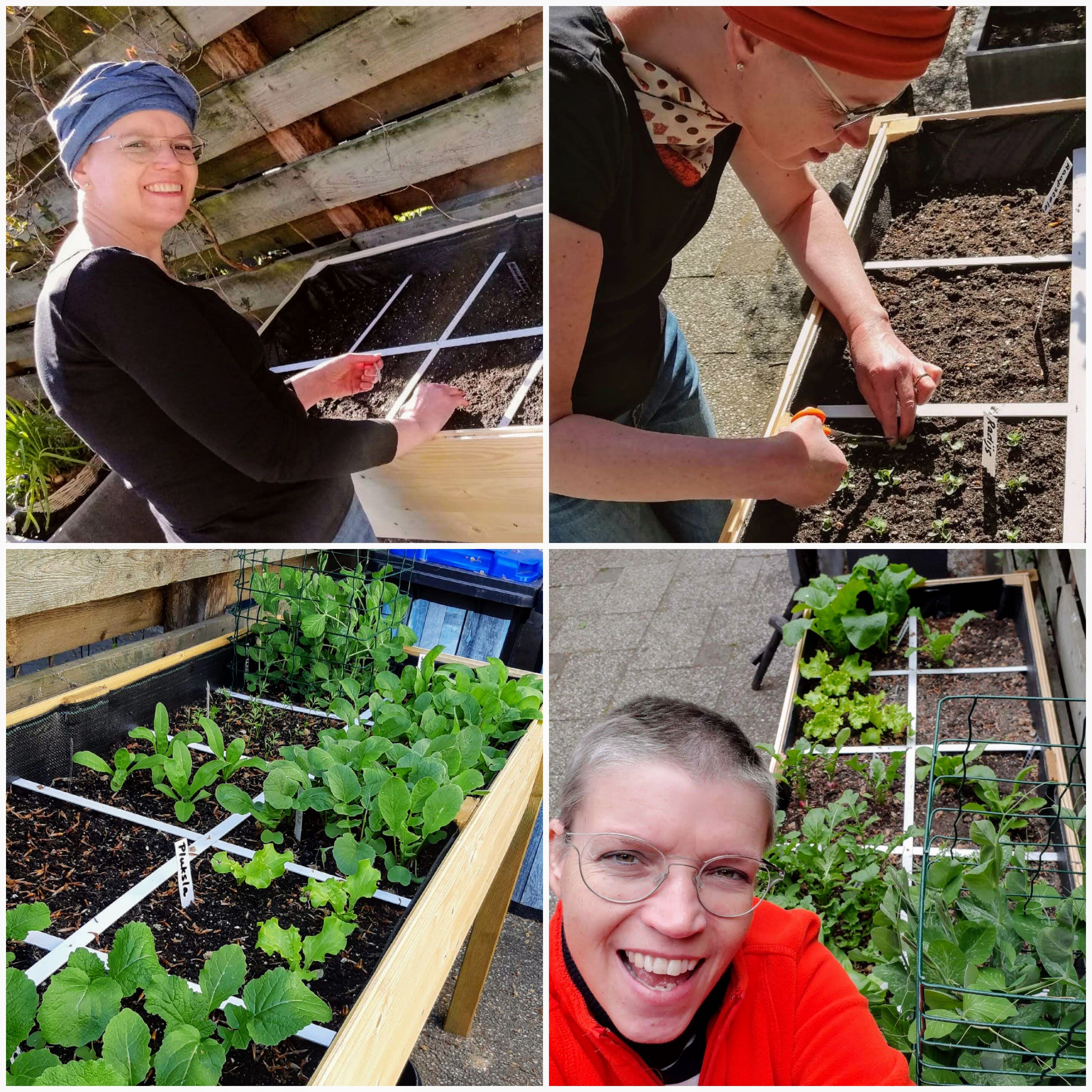 Wie een Makkelijke Moestuin plant gelooft in de toekomst