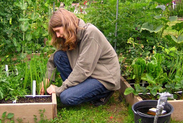 Jelle Makkelijke Moestuin in 2008