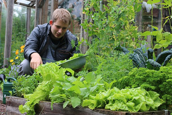 Planten staan in een MM-bak dicht op elkaar