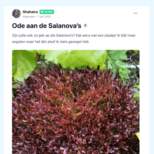 Post van Shahaira over de salanova's op de Makkelijke Moestuin community