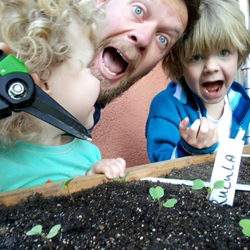 Thinned rocket seedlings